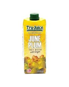 TRU-JUICE JUNE PLUM GINGER 500ml