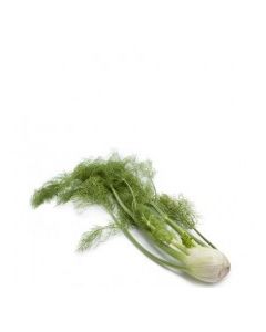 QUALITY HARVEST FENNEL 25g