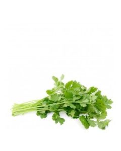 QUALITY HARVEST CILANTRO 25g