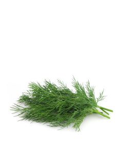 QUALITY HARVEST DILL 25g