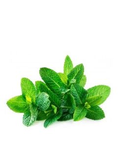 QUALITY HARVEST SPEARMINT 25g