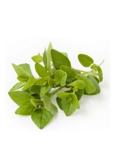 QUALITY HARVEST OREGANO 25g