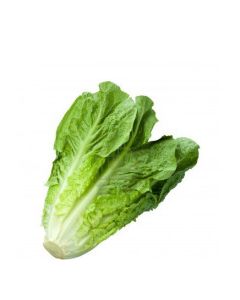 QUALITY HARVEST ROMAINE LETTUCE 1lb