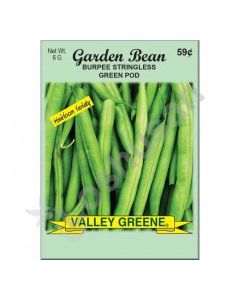 VALLEY GREENE SEEDS GARDEN BEAN GREEN 6g