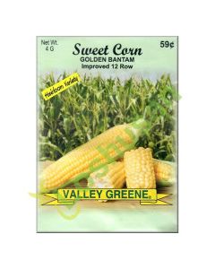 VALLEY GREENE SEEDS SWEET CORN GOLDEN 4g