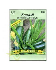 VALLEY GREENE SEEDS SQUASH BLK BEAUTY 1g