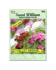 VALLEY GREENE SEEDS SWEET WILLIAM 175mg