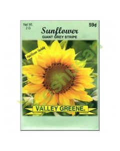 VALLEY GREENE SEEDS SUNFLOWER 2g