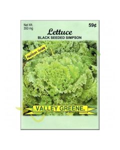 VALLEY GREENE SEEDS LETTUCE SIMPSN 350mg