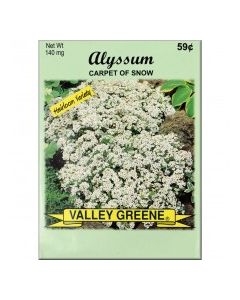 VALLEY GREENE SEEDS ALYSSUM 140mg