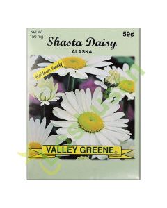 VALLEY GREENE SEEDS SHASTA DAISY 150mg