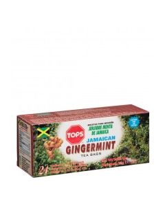 TOPS TEA GINGER MINT 24s