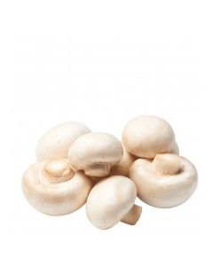 MUSHROOMS BUTTON 16oz