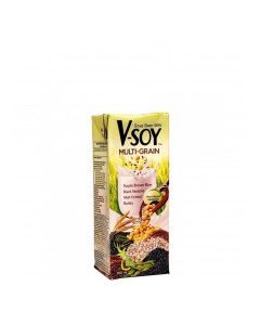 V-SOY MILK MULTIGRAIN 200ml